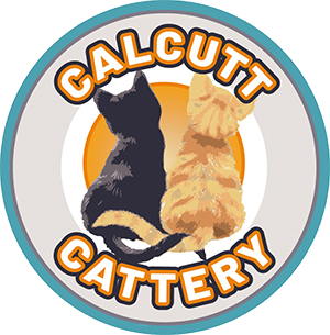 Calcutt Cattery